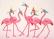 5FLAMINGOS 